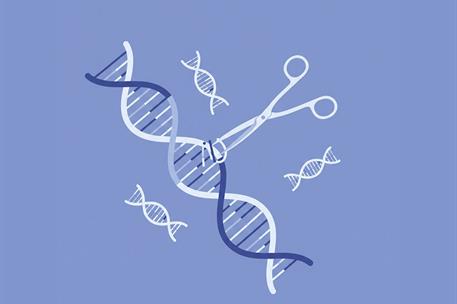 CRISPR protagonizará la primera edición de los Diálogos ciencia y política para el asesoramiento científico