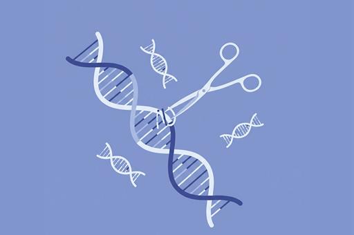 4/06/2025. CRISPR protagonizará la primera edición de los Diálogos ciencia y política para el asesoramiento científico